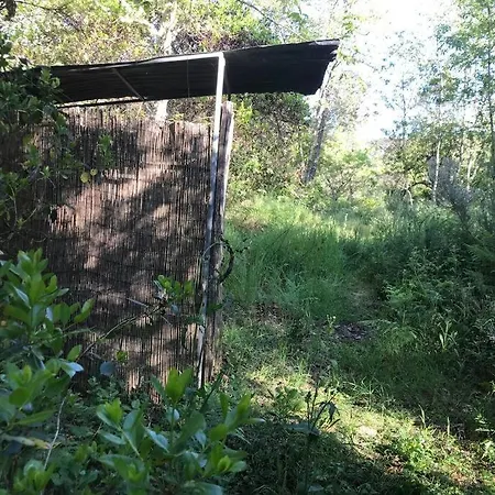Hobbitar, Casa Hobbit * Viseu