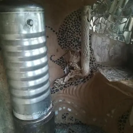 Horská chata Hobbitar, Casa Hobbit *